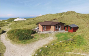 Stunning Home In Ringkøbing With House A Panoramic View